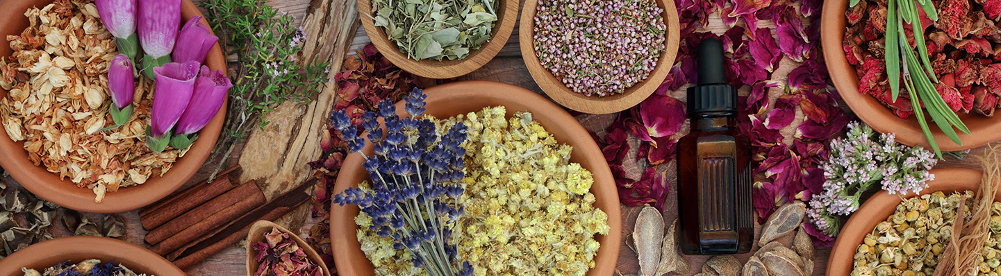 Supporter la chaleur : les 4 plantes adaptogènes stars de l'été !